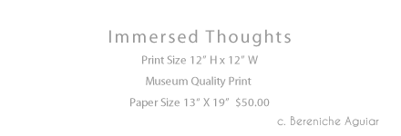 Immersed Thoughts